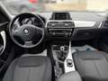 BMW 116 116 i Schwarz - thumbnail 10