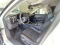 Citroen C5 X Hybrid 225 e-EAT8 Shine Blanc - thumbnail 7
