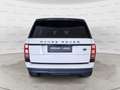 Land Rover Range Rover 3.0 TDV6 HSE IVA ESPOSTA / TAGLIANDI LAND Blanco - thumbnail 6