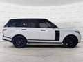 Land Rover Range Rover 3.0 TDV6 HSE IVA ESPOSTA / TAGLIANDI LAND Bianco - thumbnail 8