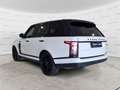 Land Rover Range Rover 3.0 TDV6 HSE IVA ESPOSTA / TAGLIANDI LAND Bianco - thumbnail 5