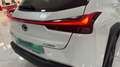 Lexus UX 250h 2.0 BUSINESS NAVIGATION AUTO 184 5P Blanco - thumbnail 19