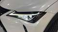 Lexus UX 250h 2.0 BUSINESS NAVIGATION AUTO 184 5P Blanco - thumbnail 18