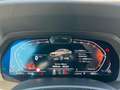 BMW X6 xDrive40d M Sportpaket Integal-Aktivlenk. AHK Gris - thumbnail 10