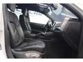 Porsche Cayenne Cayenne 3.0 V6 TDI - 262cv - Automatique - Suivi P Blanc - thumbnail 10