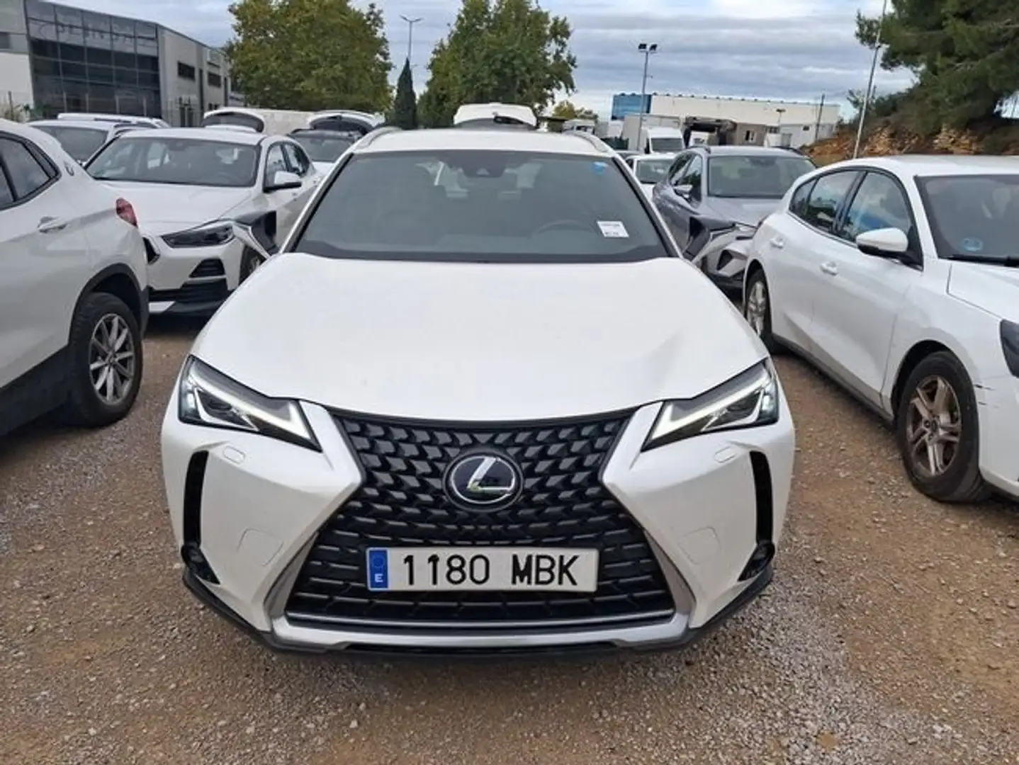 Lexus UX 250h 2.0 Business Negro - 2