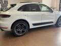 Porsche Macan Macan 2.0 245cv pdk Bianco - thumbnail 5