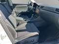Skoda Superb Combi TDI Style DSG Weiß - thumbnail 14