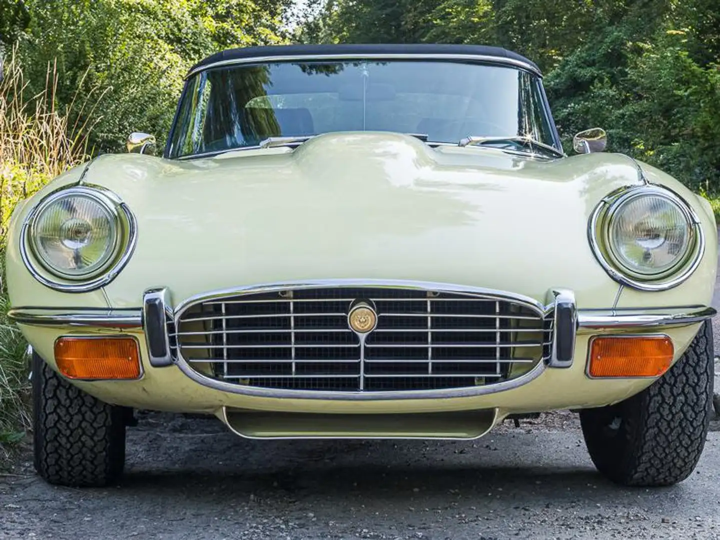 Jaguar E-Type Serie 3 Gelb - 2