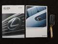 Lexus RX 450h 4WD Luxury Line Limited | Open dak | LED koplampen Azul - thumbnail 10