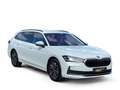 Skoda Superb Combi Selection 2.0 TDI DSG *NAVI*ACC*AHK Wit - thumbnail 5