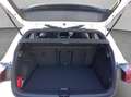 Volkswagen Golf R R-Line 2.0TDI 110 kW/150 PS 7-Gang-DSG BlackS Weiß - thumbnail 5