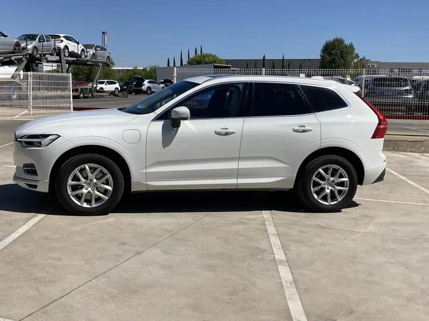 Volvo XC60 Volvo XC60 T8 Twin Engine 390 CV Momentum AWD: El SUV Premium Híbrido Enchufable con Tracción Total, Etiqueta Cero ,,,,,, Blanco - 2
