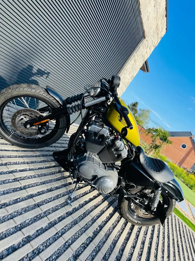 Harley-Davidson Sportster 1200 Goud - 1