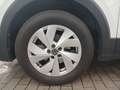Volkswagen T-Cross 1.0 TSI Life DSG *ACC*R-CAM*App-Connect* Weiß - thumbnail 7