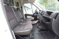 Citroen Jumper Kasten 30 L1H1 Business BlueHDi 110 KLIMA Blanc - thumbnail 16