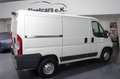 Citroen Jumper Kasten 30 L1H1 Business BlueHDi 110 KLIMA Blanc - thumbnail 6