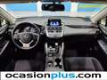 Lexus NX 300 300h Business 2WD crvena - thumbnail 10