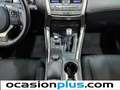 Lexus NX 300 300h Business 2WD Rojo - thumbnail 27