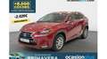 Lexus NX 300 300h Business 2WD Red - thumbnail 1