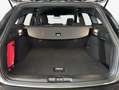 Ford Focus Turnier 1.5 Aut. ST-LINE LED+SHZ+PDC+NAVI Grigio - thumbnail 7