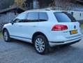 Volkswagen Touareg Touareg Wit - thumbnail 3