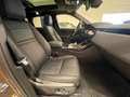 Land Rover Range Rover Evoque P300e Dynamic SE - Available 02/24 Marrón - thumbnail 8