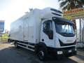 Iveco Sonstige EUROCARGO 160/28 E6 FRIGO+PEDANA FRC 19 PEDANE Weiß - thumbnail 3