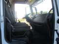 Iveco Sonstige EUROCARGO 160/28 E6 FRIGO+PEDANA FRC 19 PEDANE Weiß - thumbnail 15
