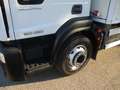 Iveco Sonstige EUROCARGO 160/28 E6 FRIGO+PEDANA FRC 19 PEDANE Weiß - thumbnail 5