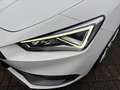 SEAT Leon SP 1.5 TSI FR +LED +ACC +RKAM +NAVI +SHZ +17" +DA Weiß - thumbnail 6