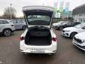 SEAT Leon SP 1.5 TSI FR +LED +ACC +RKAM +NAVI +SHZ +17" +DA Weiß - thumbnail 16