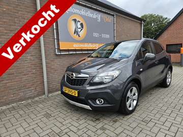 1.6 CDTi Business+ (ketting rammelt)