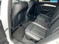 Audi SQ5 3.0 TDI 347CH QUATTRO TIPTRONIC BLACK EDITION GPS-LED-TOIT OUVRANT-JANTES 21-SIEGES SPORT CUIR-LED-CAMERA-CARTE GRISE INC Blanc - thumbnail 5