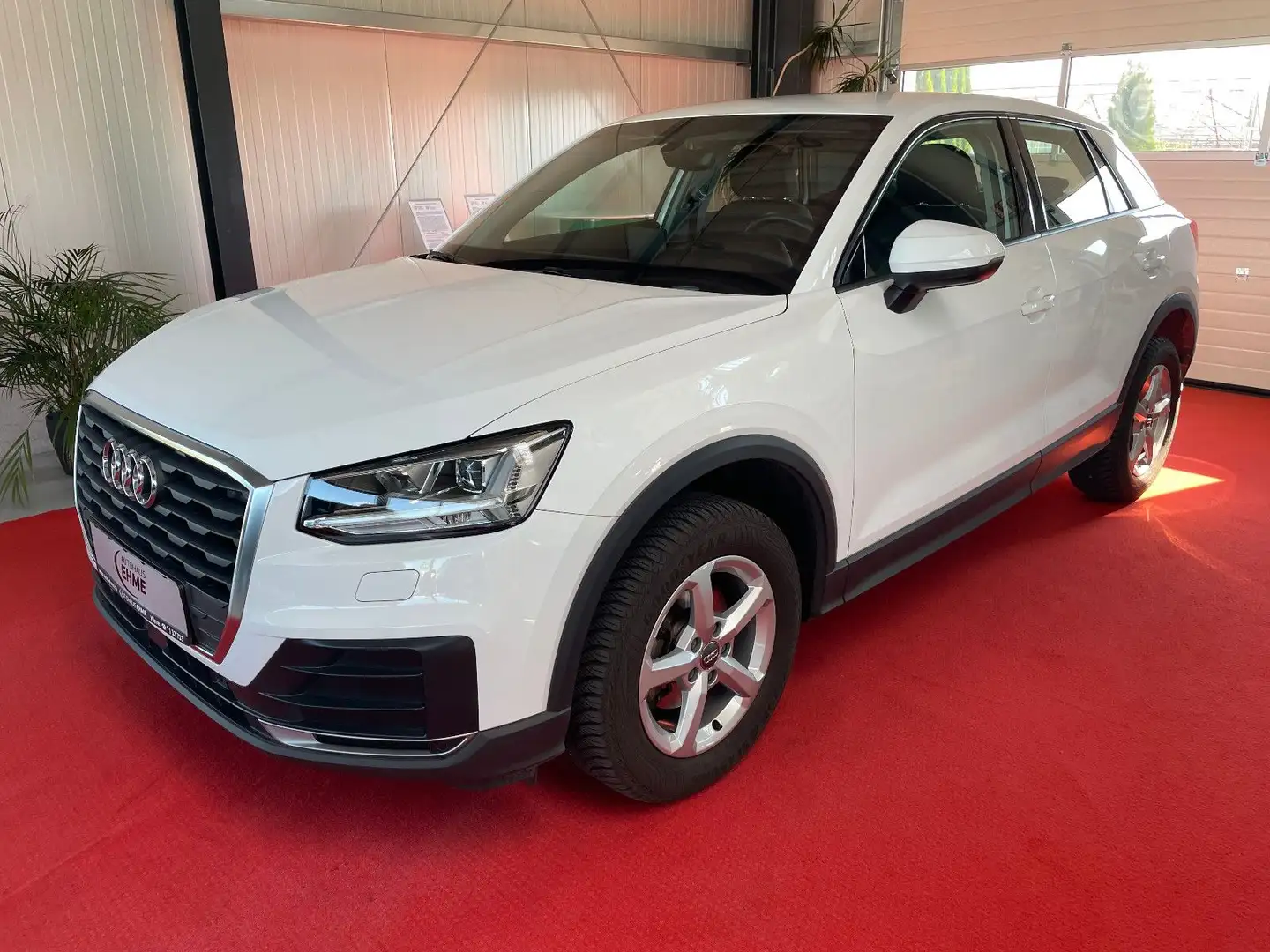 Audi Q2 30 TFSI S-Tronic *AHK*LED*NAV*SHZ*PDC* Weiß - 1
