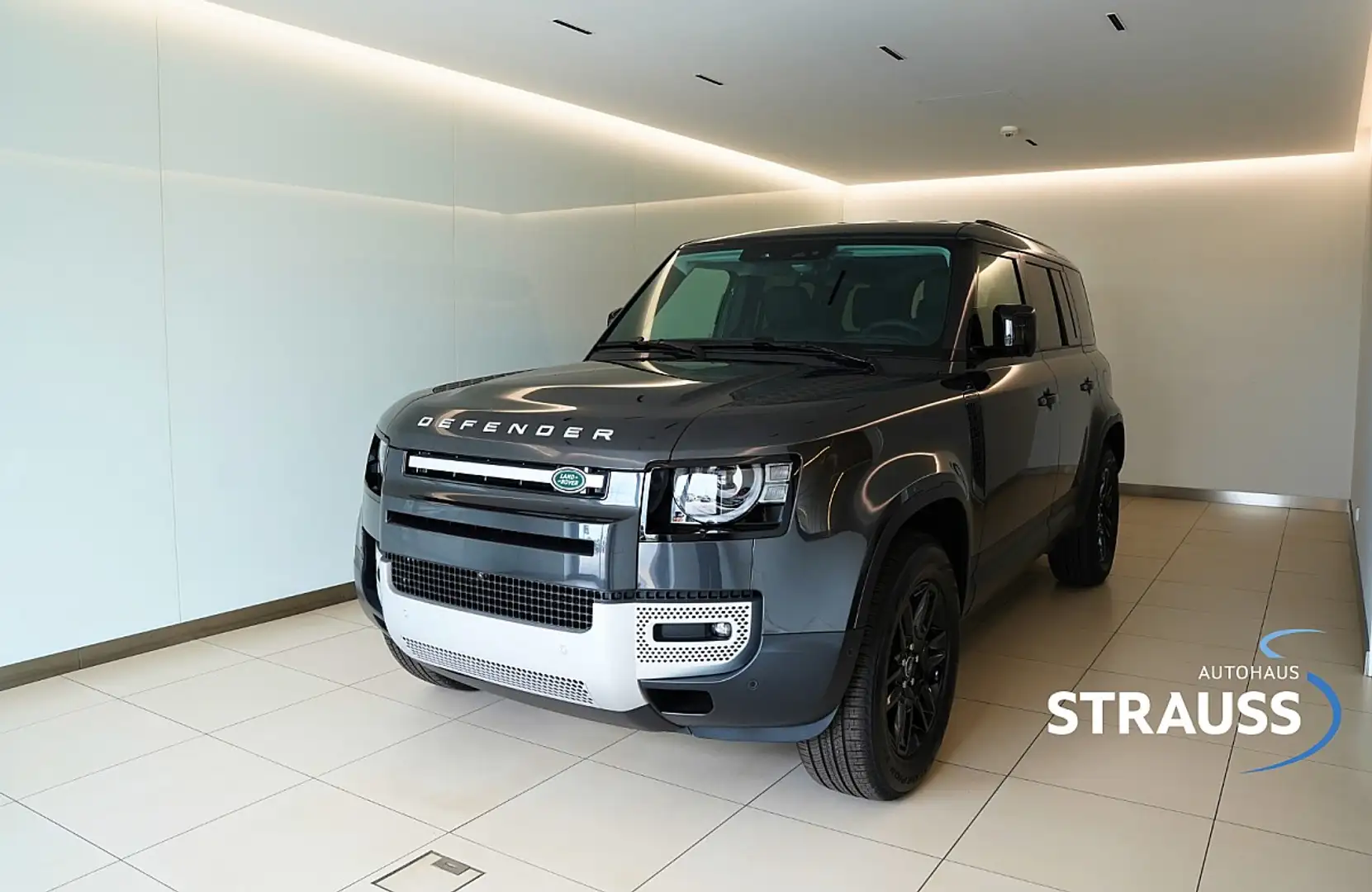 Land Rover Defender 110 S P300e Gris - 1