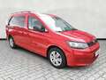 Volkswagen Caddy Maxi Basis 2.0 TDI DSG 7-Si Kamera Keyless Star... Rot - thumbnail 1