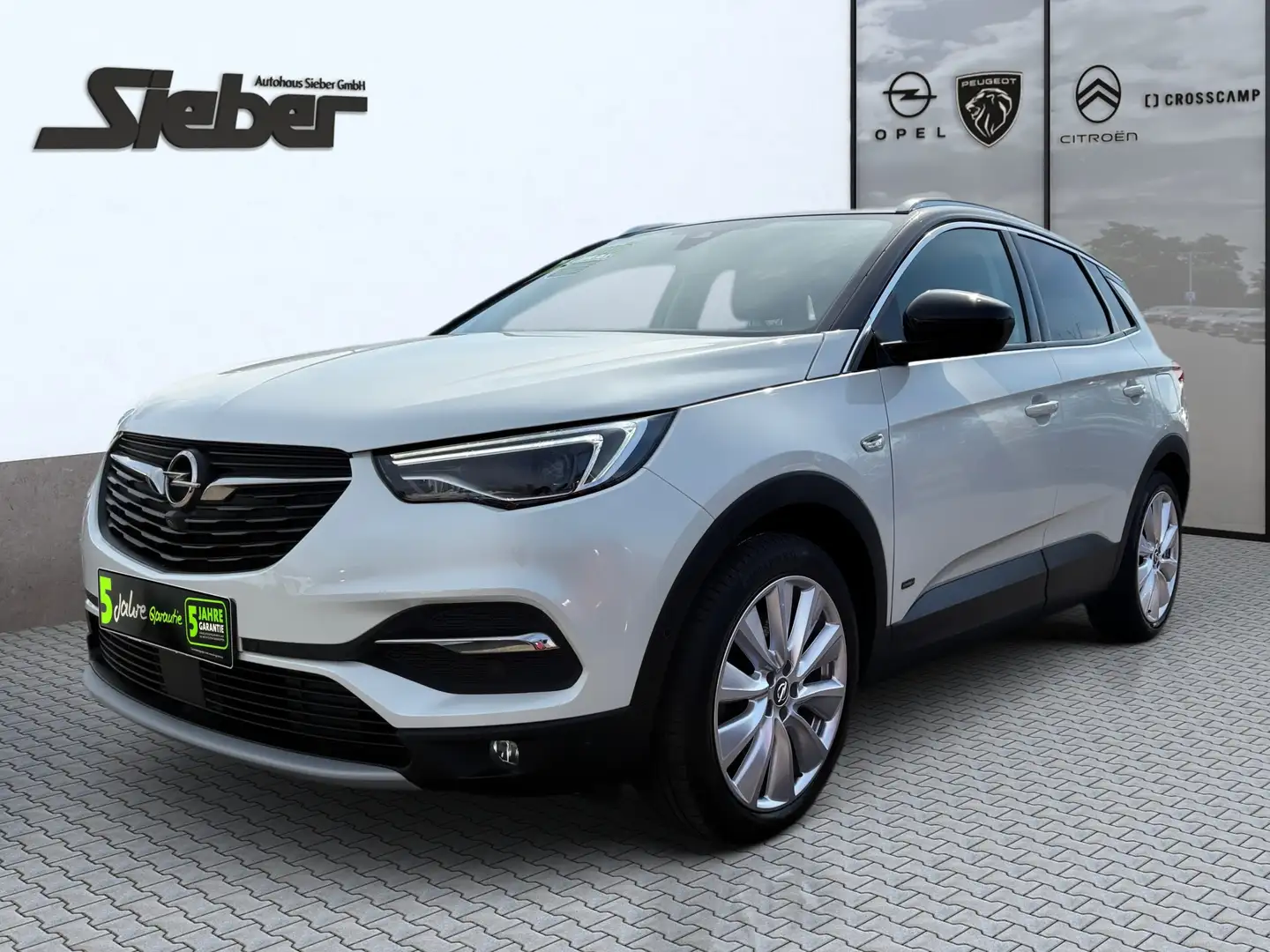 Opel Grandland 1.6 Turbo 4x4 Sitzhzg. Kamera Navi Weiß - 2