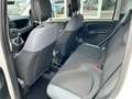 Fiat Panda TwinAir 85 4x4 Wild Weiß - thumbnail 9
