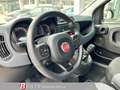 Fiat Panda TwinAir 85 4x4 Wild Weiß - thumbnail 7