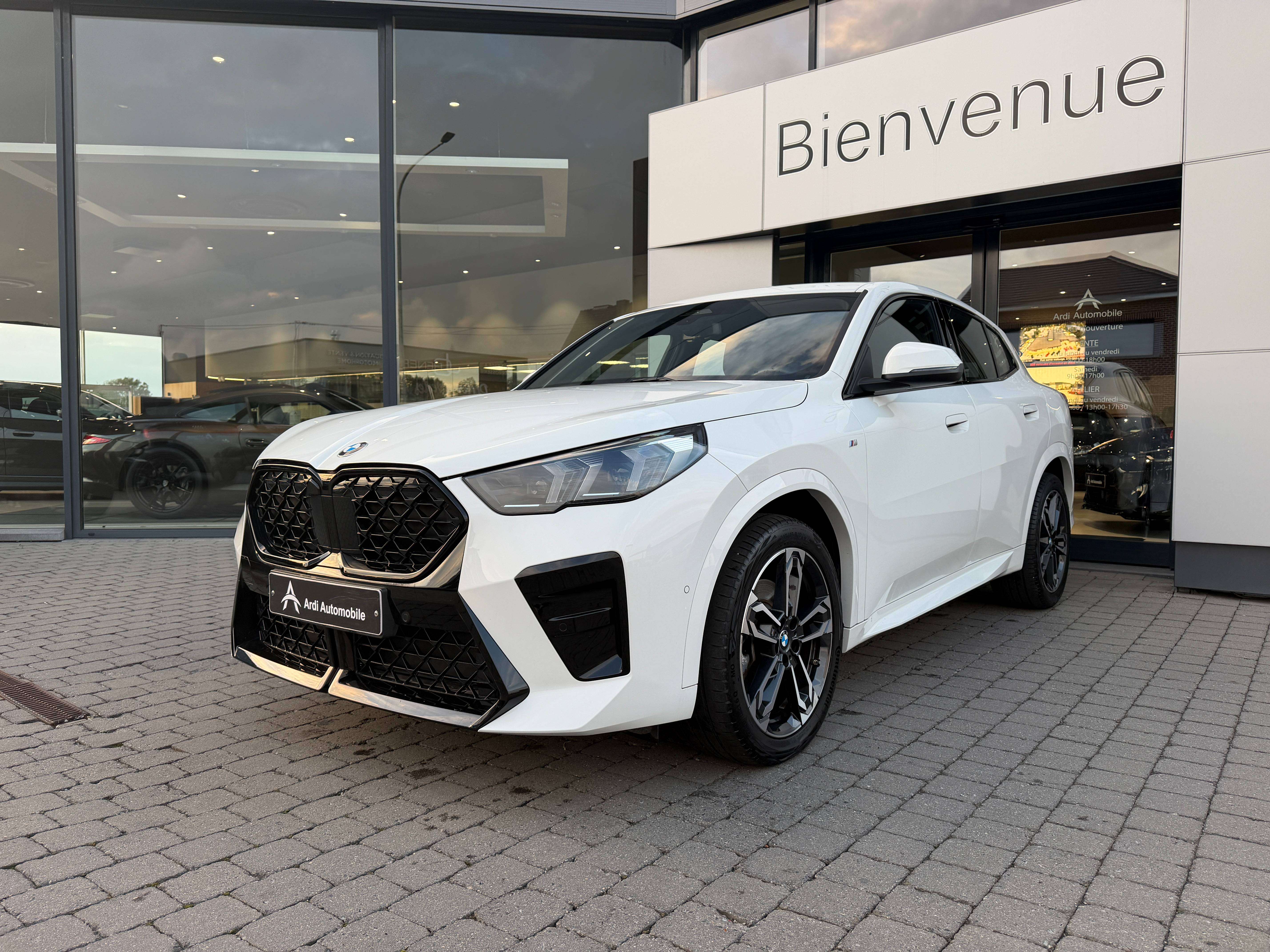 BMW X2