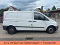 Mercedes-Benz Vito Kasten 110 CDI WORKER - TÜV NEU - 1.HAND Bianco - thumbnail 5