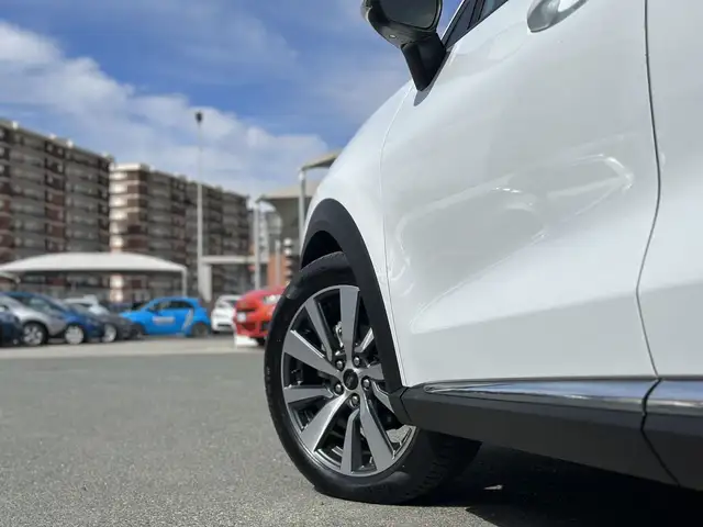 Ford Puma view 10