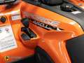 Sonstige Marken CFORCE 450 L ABS T-Zulassung Schwarz - thumbnail 15