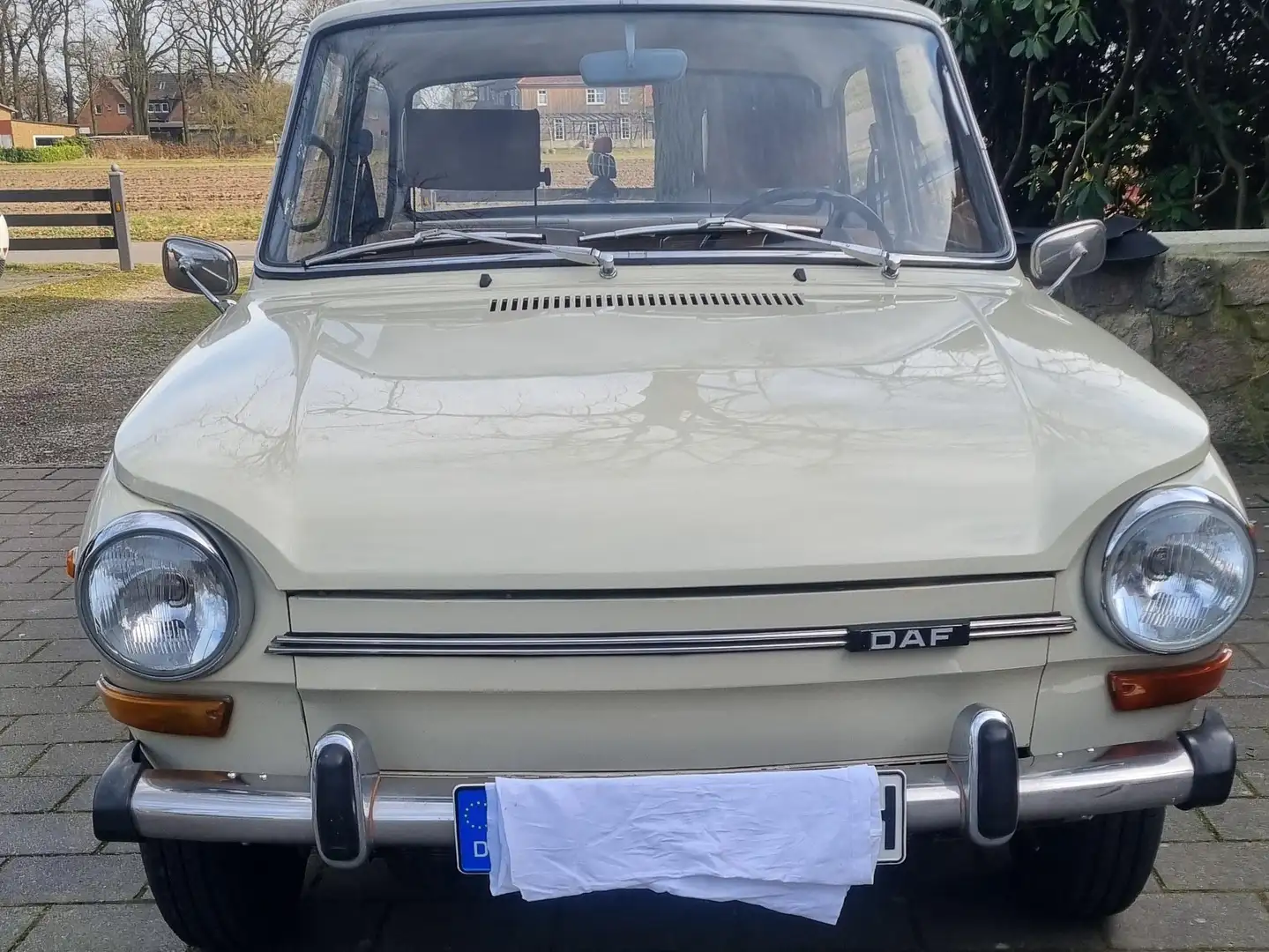 DAF Beige - 1