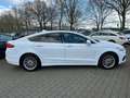 Ford Mondeo 2,0 EcoBlue "Titanium" White - thumbnail 7