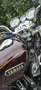 Yamaha XJ 750 Bruin - thumbnail 14