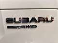 Subaru Forester 2.0 Luxury150PK AWD | Pano-Dak | Trekhaak | Navi | Biały - thumbnail 42