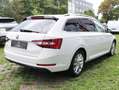 Skoda Superb Kombi 2,0 TDI Style DSG | Navigation | Business P. Blanc - thumbnail 7