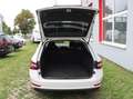 Skoda Superb Kombi 2,0 TDI Style DSG | Navigation | Business P. Blanc - thumbnail 10